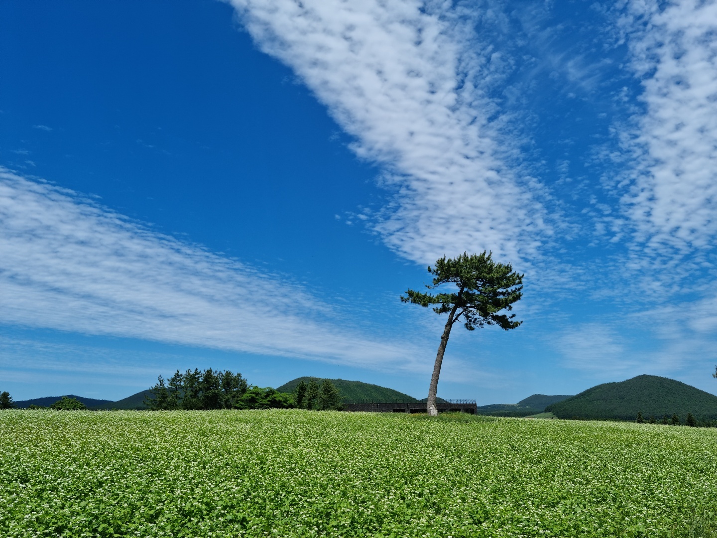 전주 혁신 양우내안애